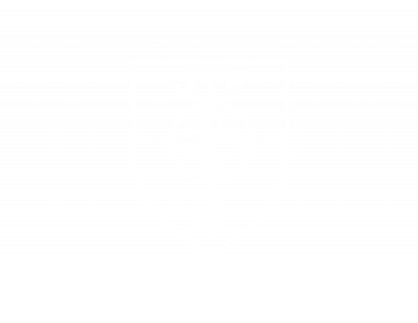 white logo transparent.png